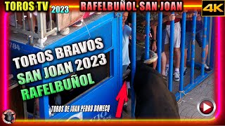 TOROS TV 2023 san joan rafelbuyol TOROS BRAVOS 🐂✅ toros juan pedro / toros tv 2023 4k