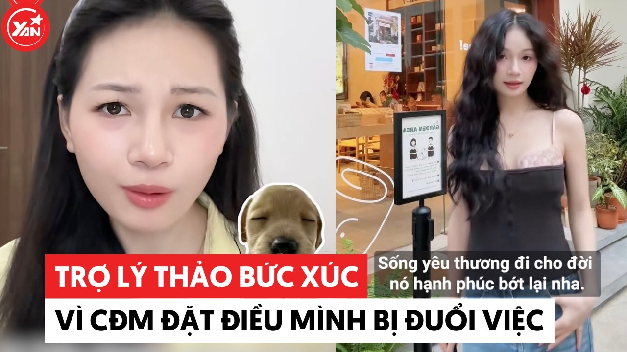 Trợ lý Thảo bức xúc vì CĐM đặt điều mình bị đuổi việc #yannews