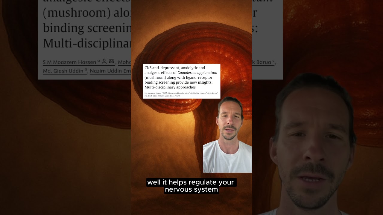 Nature’s answer to anxiety 🍄