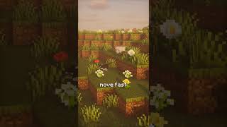 Why dogs chase cats explained in Minecraft ⛏️  #minecraft #shorts #minecraftshorts