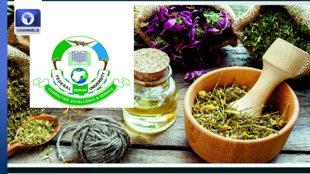 Federal University Wukari Advocates Enhanced Investment In Herbal Medicine