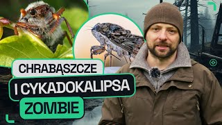 GATUNEK ZERO #13: "WYCHODZĄ SPOD ZIEMI, LATAJĄ POD WPŁYWEM NARKOTYKÓW I STRASZĄ LUDZI"