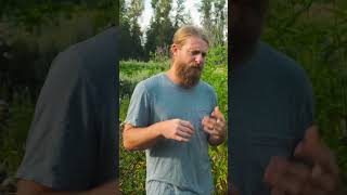 The Best Herb for Neck & Shoulder Tension?