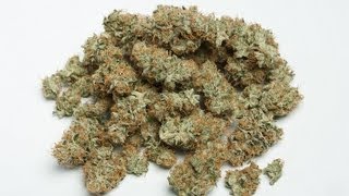 Knottyy's White Romulan BHO Scrape!!!