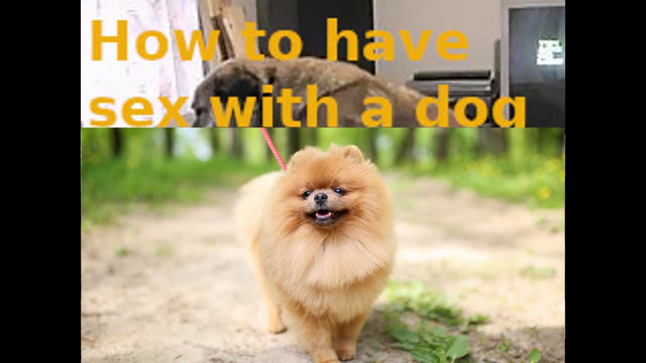 How I made love to my dog YouTube