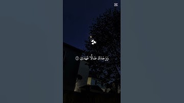 اكتب شيء تؤجر عليه ❤🎧😴 #صوت_جميل #اكسبلور #تلاوة_خاشعة #قرآن #المصحف #راحة_نفسية #لايك