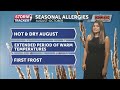 Late summer and fall allergy season