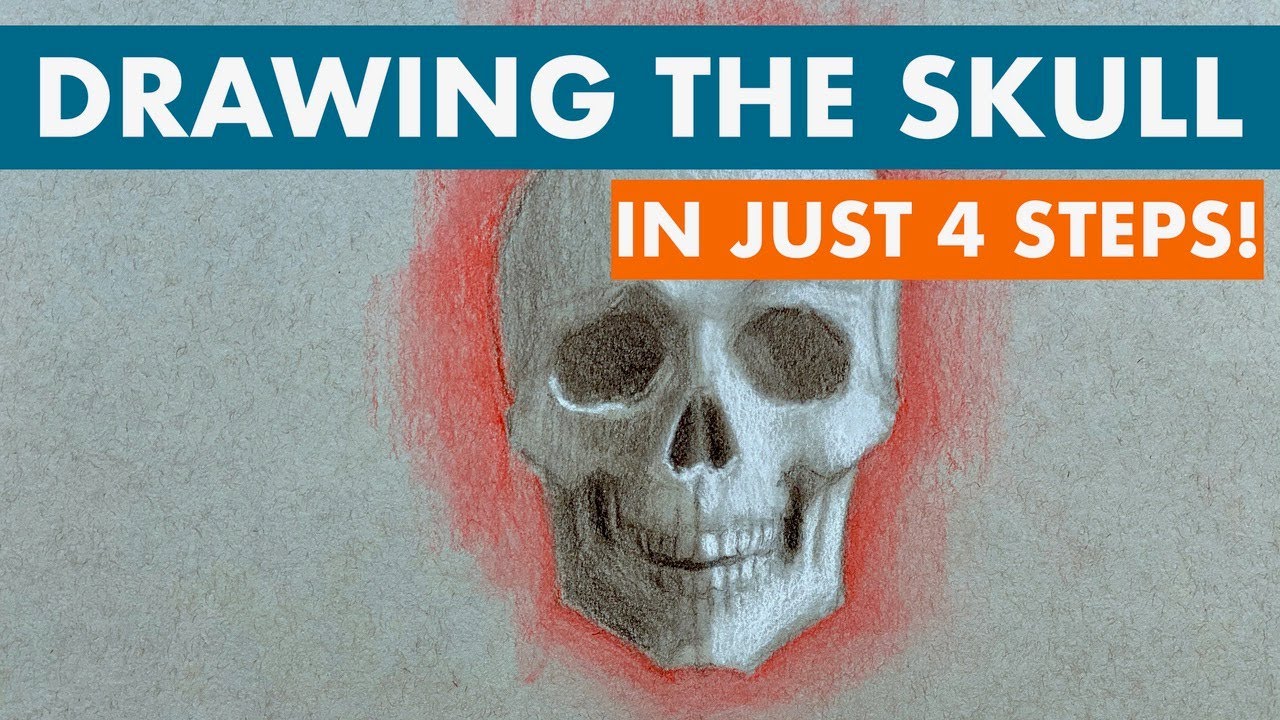 Drawing the Skull in 4 Steps! - YouTube drawing-the-skull-in-4-steps-youtube