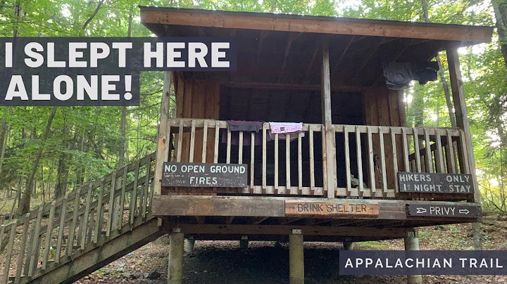 ALONE IN A SHELTER IN THE WOODS | Mohican to Brink...