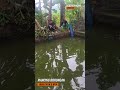 wow asiknya mancing borong kolam ikan patin #mancing