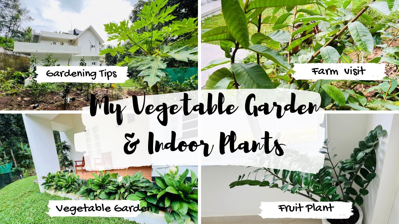 How to Indoor Fruit Veggie Garden: Thrive Indoors