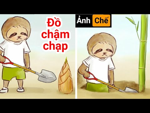 Video Nỗi Khổ Của Con Lười | Những Hình Ảnh Hài Hước (P 97) - youtube