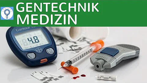 Wie wird Insulin gentechnisch hergestellt einfach erklärt?