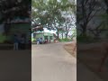 wifi cctv camera installation in chamundia, gania cp pluse wifi camera, cp pluse 360 pt camera