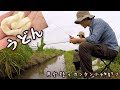 誰でも簡単！うどんで用水路の小物釣り★～埼玉県南部の田んぼ～