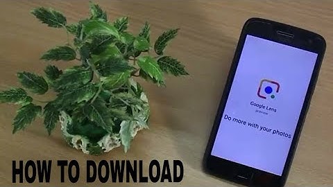 Google lens (How to get/download it)