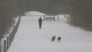 Minnesotans Already Reveling In Gradual Warm-Up, Even In Snow And Single Temperatures