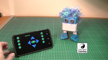 Otto Arduino Biped Bot