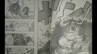 One Piece 923 Mive Spoiler Luffy Fatally Injured New Crew Member Incoming