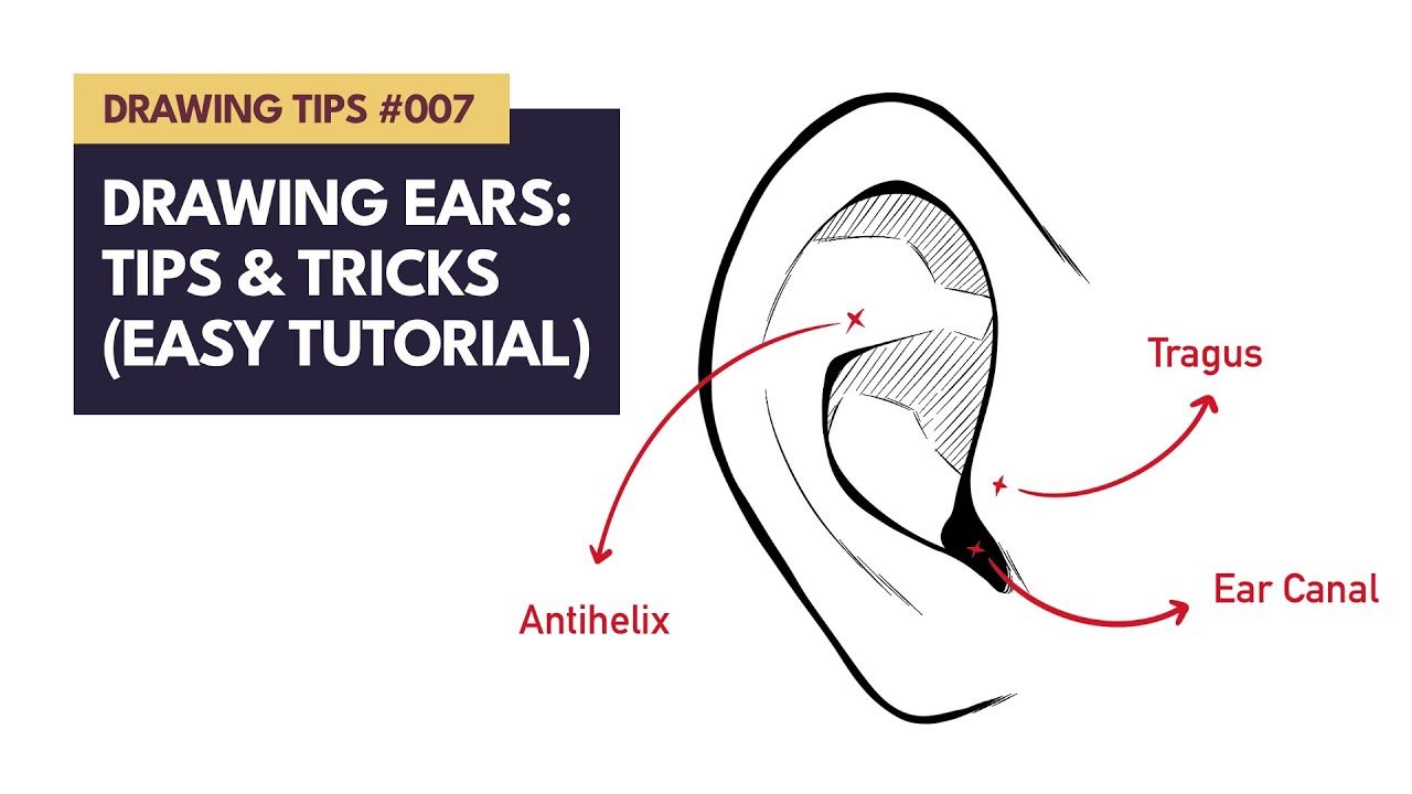 Ears Tricks Drawing Ears : Tips & Tricks (Easy Tutorial) - YouTube