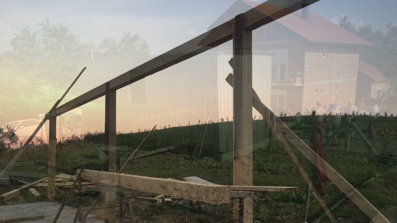 Hazelnut Orchard Growth - From Planting to Orchard