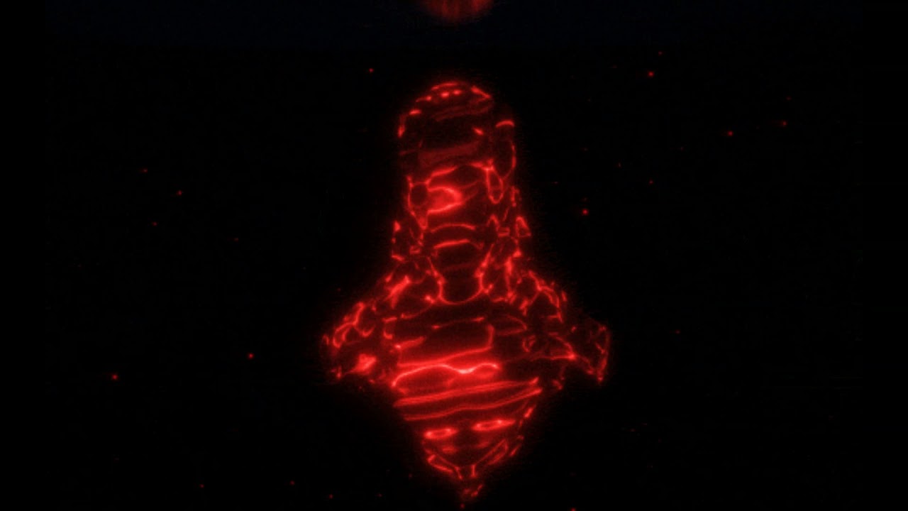 2WOSiDE - The Life Of Anne (ft. Klauée) (Audio Officiel)