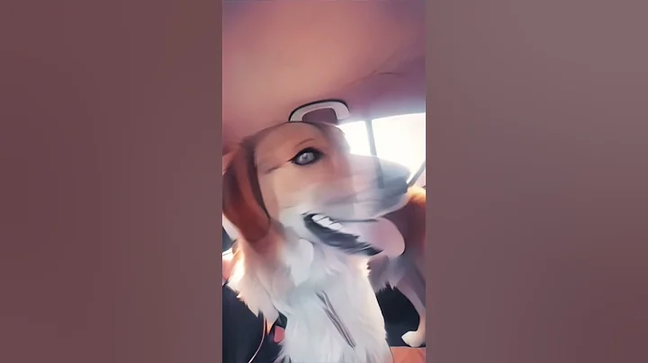 He will always be the cutest puppy. #dog #goldenretriever