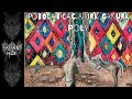 Ipotocaticac & Urk Garurk - Poly 🎨✨ Dark Psytrance