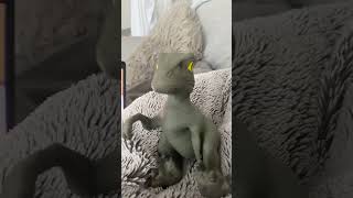 Cadet Lock In 67% Accurate