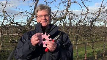 Artificial Spur Extinction demonstration