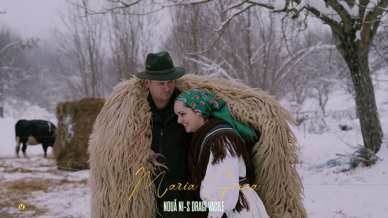 MARIA GROZA - NOUA NI-S DRAGI VACILE   ❤️🐮🐄
