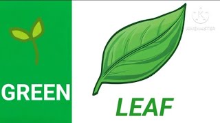 Green Colour| Things that are green| Green colour objects| Learning colours for Kids| Kids Learning Things That Are Green Learning Colors For Kids Green Colour Objects