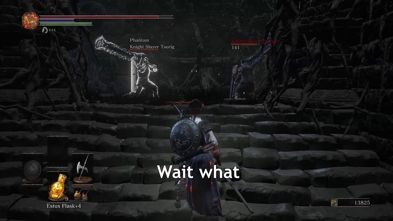 Dark Souls 3 - Tsorig vs Tsorig is real