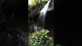 Cascada de Llames, en la ruta de Carlos V, Tazones - Villaviciosa, Asturias. #turismoasturias