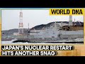 Japan World S Largest Nuclear Plant In Japan Stopped After 1 Day Operation World DNA