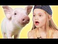 Kids Get Surprised With Mini Pigs