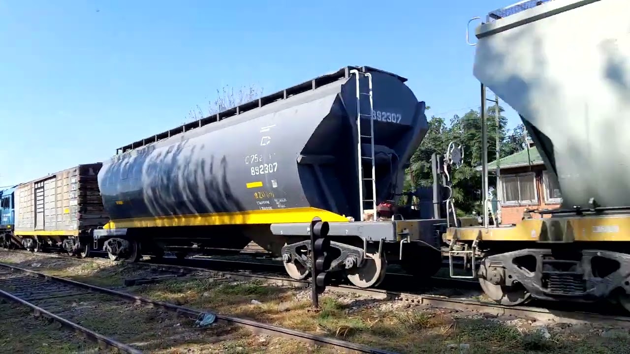 Tren Argentino Cargas🚂, L,S,M