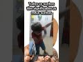 todos os sonhos têm significados: meus sonhos