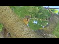 Living My Best Life Soaking Up the Simple Moments 🐿🧘♀️😎 #trending #shorts #viral