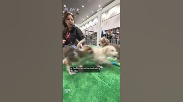 Main character energy to the MAX. We miss you already. #AdobeMAX