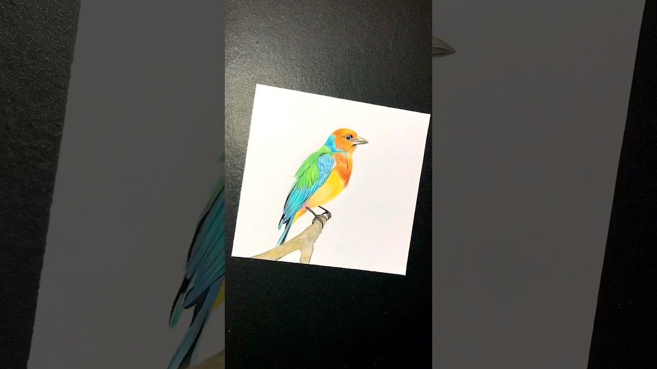 Cute Bird Drawing | Simple Art 