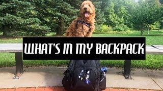 What's in my Backpack? || College with a Service Dog!