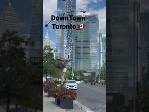 Video: Kui palju kodutuid Torontos suri?