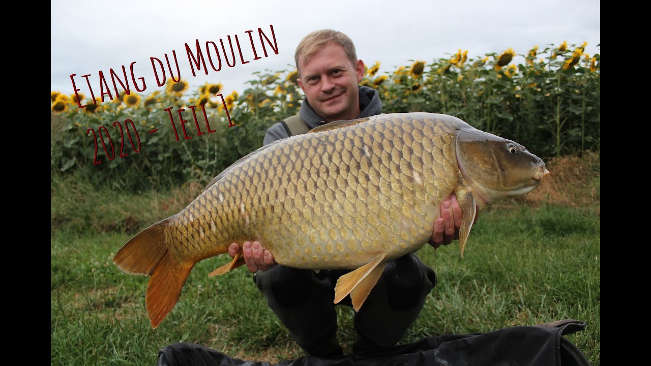 2020 Karpfenangeln am Etang du Moulin | Teil 1