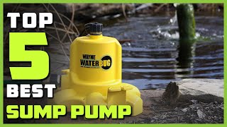 Best Sump Pump in 2023 - Top 5 Sump Pumps Review