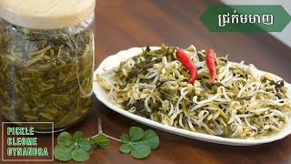 Easiest Pickled Cleome Gynandra Recipe | ​របៀបធ្វើ ជ្រក់មមាញ ងាយៗ ឆ្ងាញ់