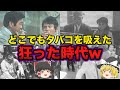 【ゆっくり解説】昔はどこでも吸えた狂った(良い)時代だったなw