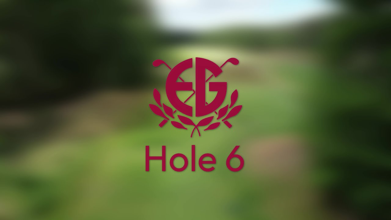 Hole 6 - Eindhovensche Golf