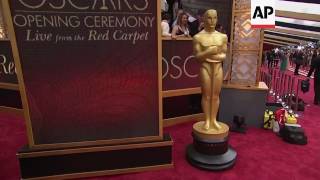 Faye Dunaway speaks out on Oscars best picture fiasco