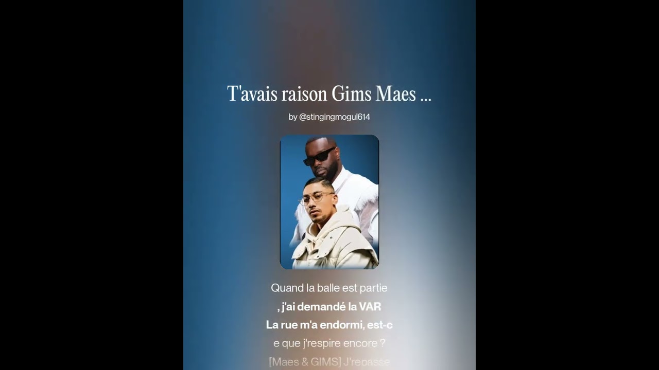 T'avais raison Gims Remix #2 
